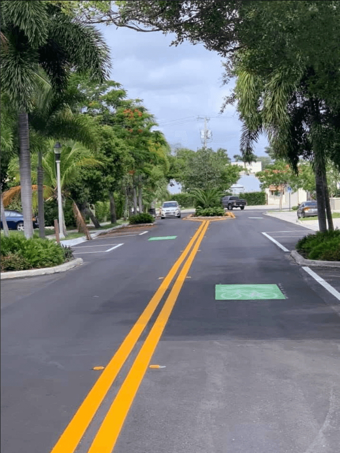 Double-yellow centerline striping with green bike-lane symbols on a tree-lined Florida street