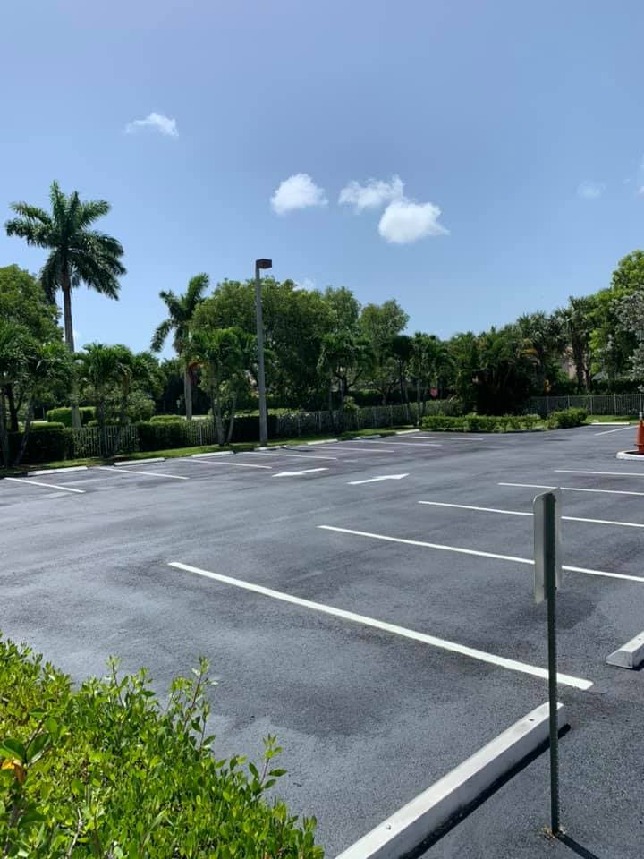 Freshly striped commercial parking lot with crisp white lines, arrows, and palm trees